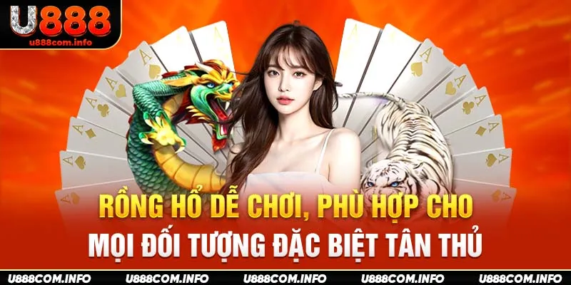 Rồng Hổ dễ chơi, phù hợp cho mọi đối tượng đặc biệt tân thủ